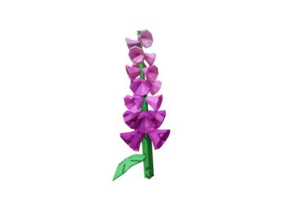 Foxglove