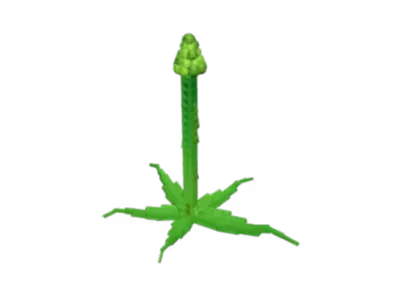 Tall Asparagus