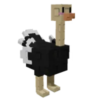 Ostrich